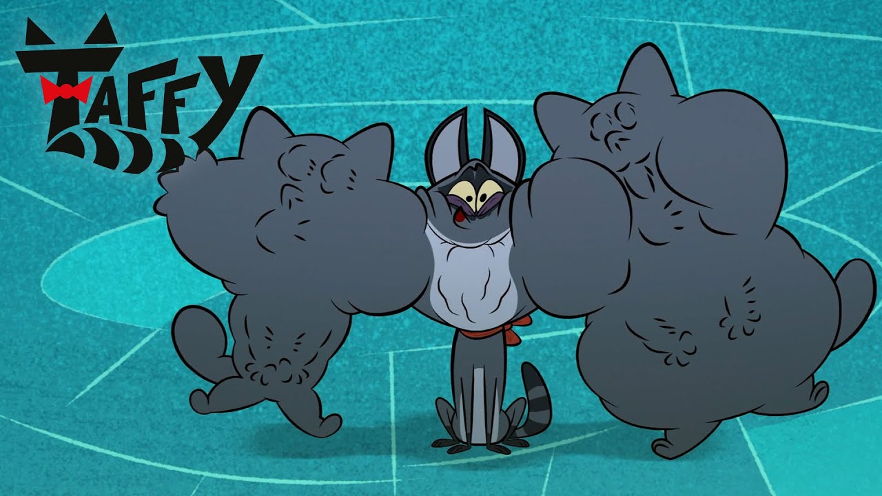 Taffy helps his old raccoons' friends Taffy YouTube