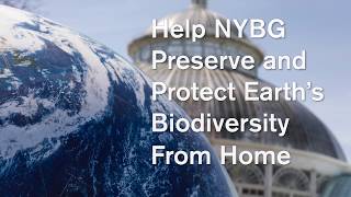 How To Participate In An Ecoquest Challenge