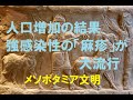 第二章 メソポタミア文明の勃興ととも感染症の定期流行が発生