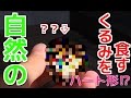 【自然の恵み！】落ちてたくるみを食べてみた！
