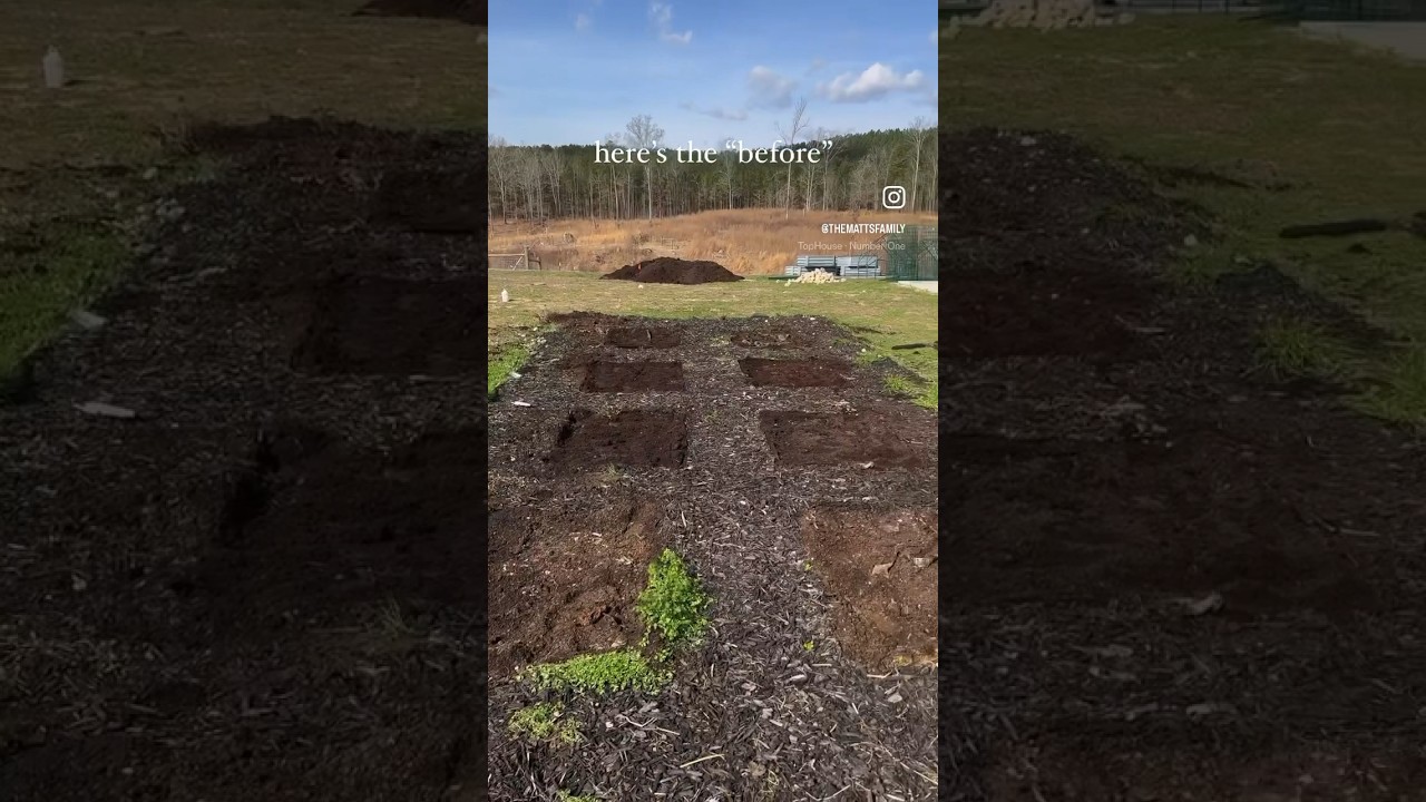 Beginning our Garden Reno! 🔨