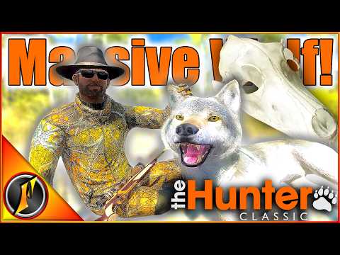 HUGE Wolf Hiding in Plain Sight on Timbergold Trails! | theHunter Classic