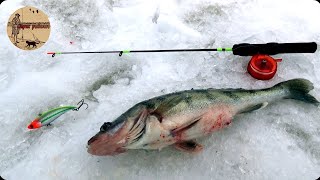 видео: ЭТО НЕ СУДАК,Рыбалка на вибы с эхолотом. Сamping ,fishing,bushcraft, картинка: ЭТО НЕ СУДАК,Рыбалка на вибы с эхолотом. Сamping ,fishing,bushcraft,