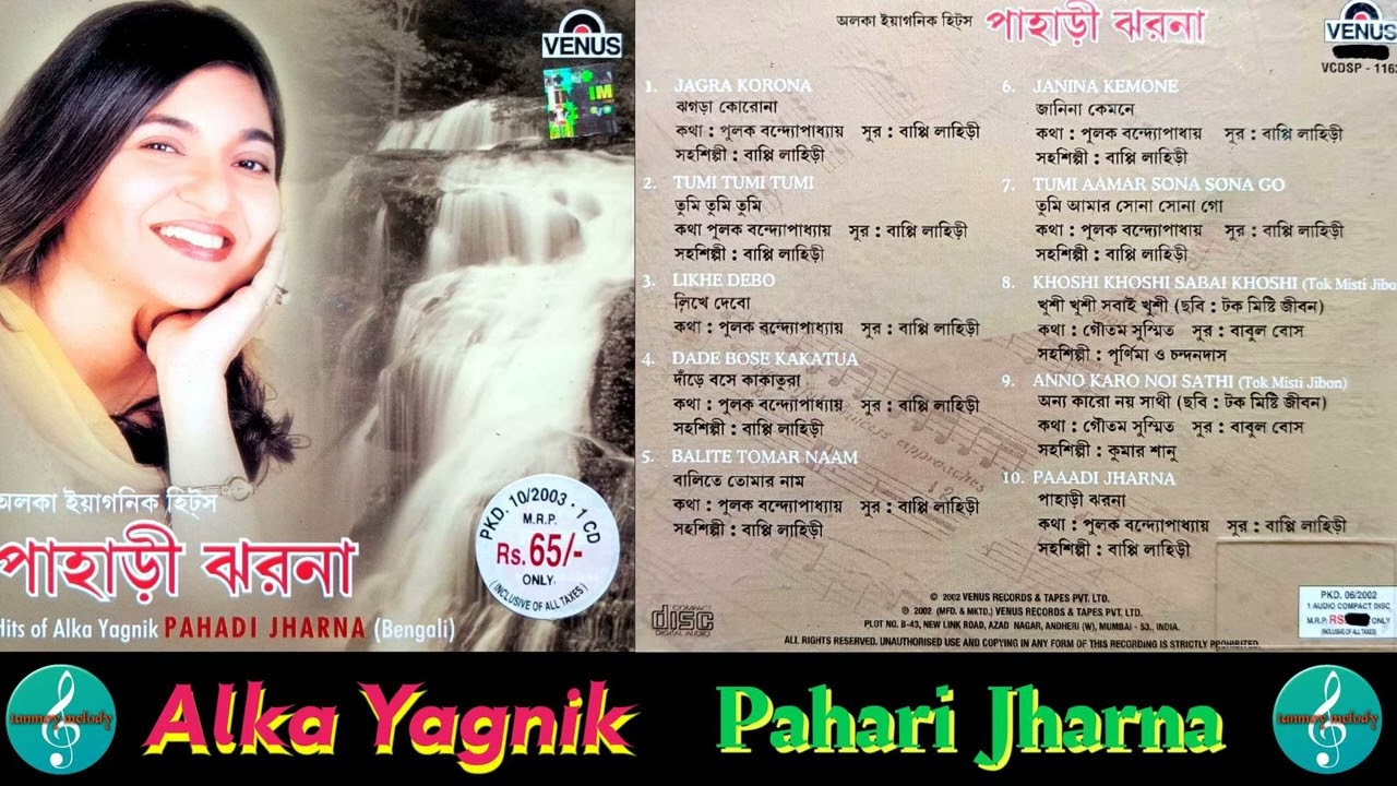 Best of Alka Yagnik Pahari Jharna    Bengali Audio JukeboxHQ