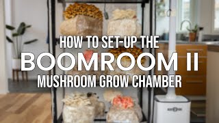 Quick Start Guide | How to Set Up Your BoomRoom II