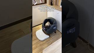 Catlink Self Cleaning Cat Litter Box catlink automaticlitterbox ailitterbox   cat catlitterbox
