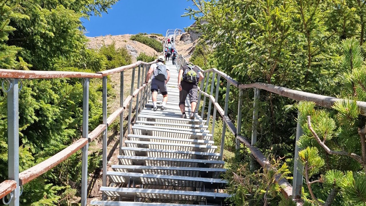 Cel mai scurt traseu catre vârful Toaca| Scara din Ceahlău