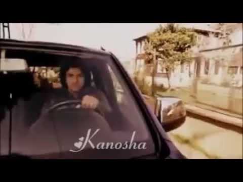حبيبي يالي بحبو