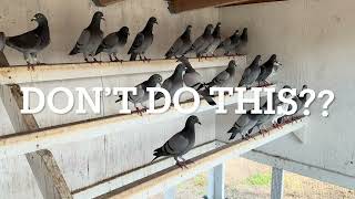 DON'T DO THIS??