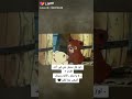 لوز وسكر