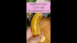9割が間違っているコンドームの使い方 パート2#Shorts