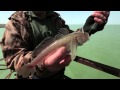 Диалоги о рыбалке. Ловля кутума. Азербайджан