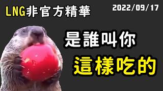 【LNG精華】你叫那隻CBD給我吃下去