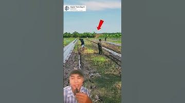 nghề sắn đất mướn kiểu miền tây #videoviral #india