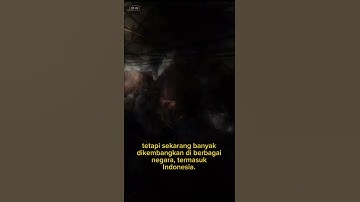 Sapi simental #shorts #sapi #sapisimental