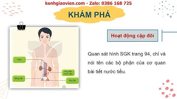 Giáo án powerpoint bài 25: Tìm hiểu cơ quan bài tiết... | GA Tự nhiên và Xã hội 2 Kết nối tri thức