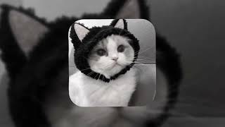 Download Lagu Boys World - Gone Girl [Slowed + Reverb] MP3