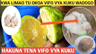 Jinsi Ya Kuokoa Vifo Vya Kuku Wadogo