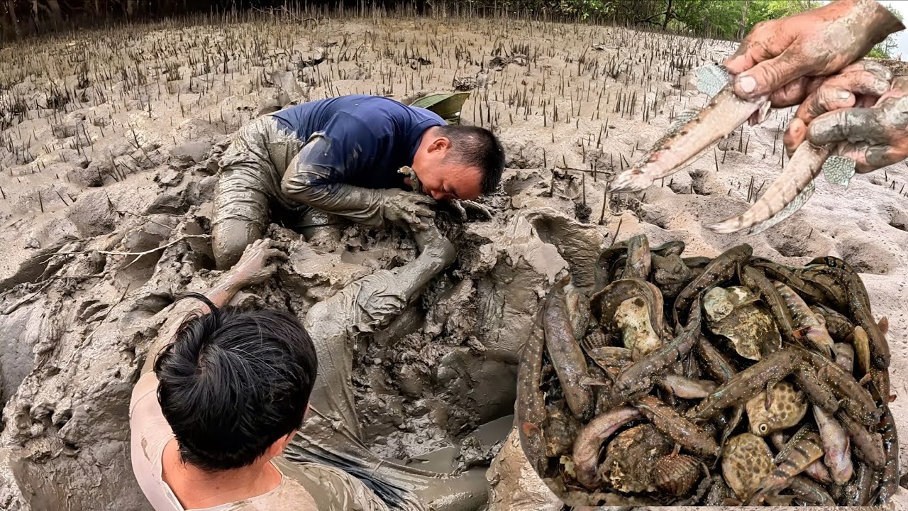 Thi Nhau Thụt Hang Bắt Cá Bống Sao || Giang Ca SB # 112