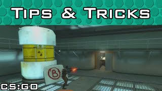From Rants to Reports: Decoding CSGO Toxicity