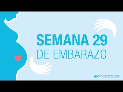 Vídeo: 29 Semanas De Embarazo: Síntomas, Consejos Y Más