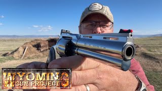 D&L Sports Colt Python Sights…Give your Snake Gun Extra Bite 🐍