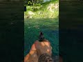 FC3 Crocodile
