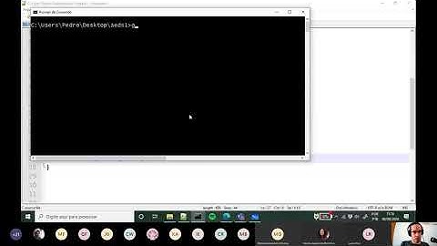Comandos break e continue em C