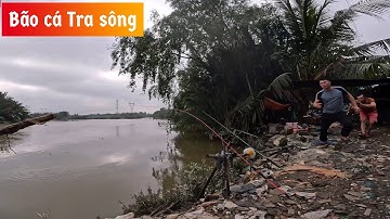 ✅ Thủy triều dân cao, bão cá Tra sông Sài Gòn | DUY FISHING