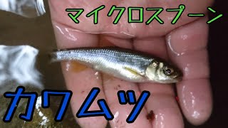 【川釣り】0.6gのルアーで10㎝のカワムツを釣る！マイクロスプーンで小物釣り【ダイワ ヴェガ】
