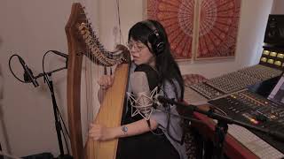 Bjork / Hyper - Ballad cover vol.55