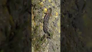 Pxl 20260221 194044441