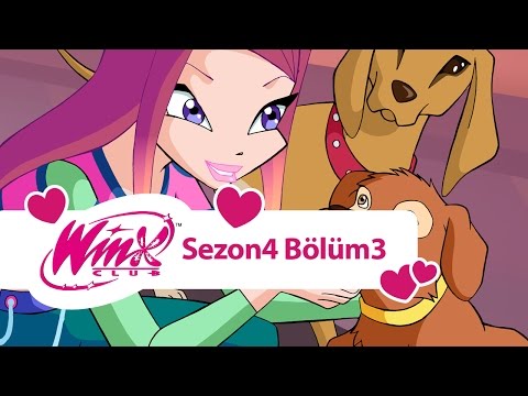 Winx Club - 4. Sezon 3. Bölüm  - Dünya'daki Son Peri - [TAM BÖLÜM]