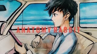 ANATOMY RABBIT - ขับรถเล่น Feat. พลอย The Voice (Official Audio) chords