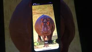 150 Animals sound lite part 2 screenshot 3