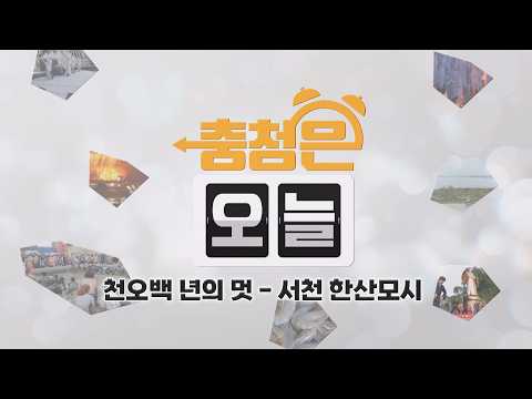 천오백 년의 멋 - 서천 한산모시 / KBS대전 20260826 방송