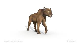 3D Creature Animation Reel