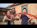 【食味阿远】阿远买了15斤驴架子，和老板要了些老汤，大火炖4个小时，上手啃 | Shi Wei A Yuan