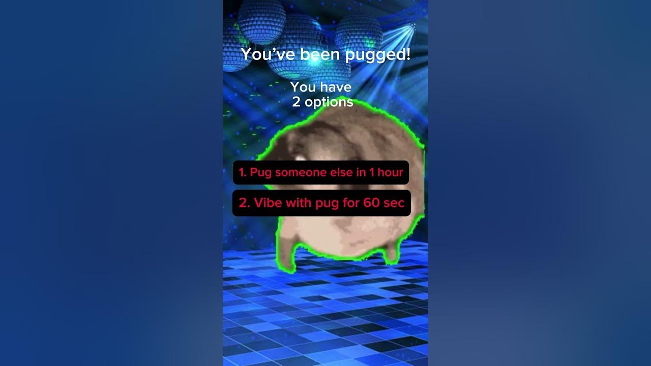 Youve been pugged youtube