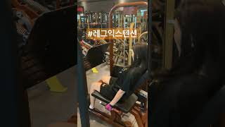 #레그익스텐션 #legextention #하체운동 #대퇴사두근 #lowerbodyworkout #workout