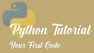 Python Tutorial: How to Run your First Code in VS Code Profile