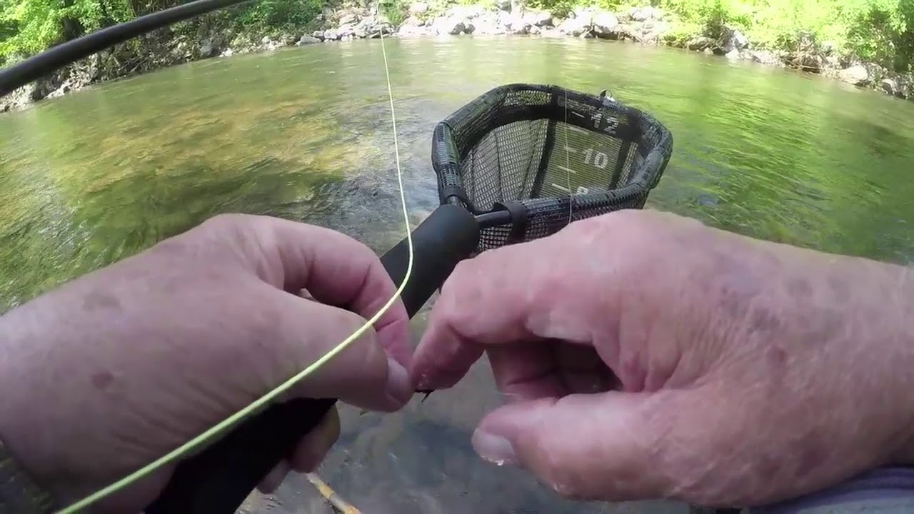 Muncy Creek, Pa. May 2018 YouTube