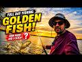 Golden Fish! How Many I caught?