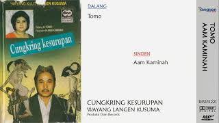 [Full] Wayang Purwa - Cungkring Kesurupan | Tomo - Aam Kaminah | Langen Kusuma