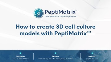 How to create 3D cell culture models with PeptiMatrix hydrogels