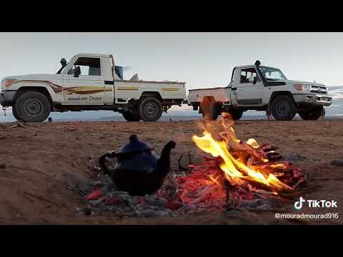 الوطن ولا لافي بني مهيرا زرقاني