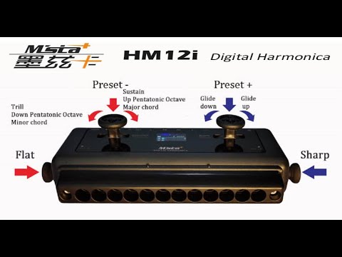 HM12 - CHINESE MIDI HARMONICA - Demo and Review by Brendan Power - YouTube