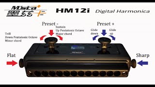 HM12  - CHINESE MIDI HARMONICA - Demo and Review by Brendan Power