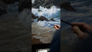 Painting New Zealand’s West Coast