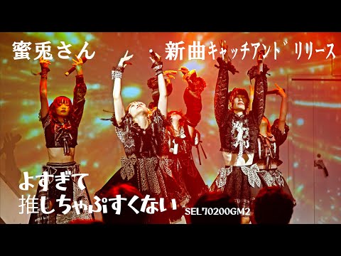 2022年10月28日(金)蜜兎 この日のみ撮影可 honey-bunny (Japanese idol group)　キャッチアンドリリース　EVENT SITE:VURSUS東海ホール